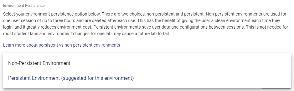 A description of the environment persistence options is shown, and below it are the buttons for selecting your persistence option.